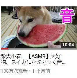  睡前不听它们的asmr,我会睡不着