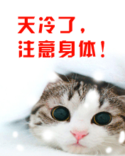  在秋冬,茶色春阳除了温暖,还有心动