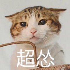 怂怂的表情包可爱