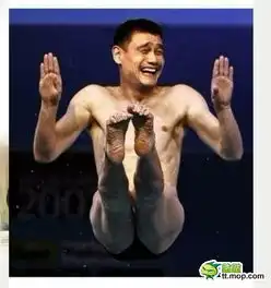  姚明遭网友经典恶搞天雷滚滚表情猥琐笑到流泪