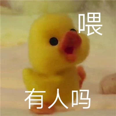  最近很火的微信鸭鸭表情包小黄鸭表情包今天做自己