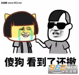  撤回消息后怼人表情图片怼撤回消息的表情包下载乐游网游戏下载