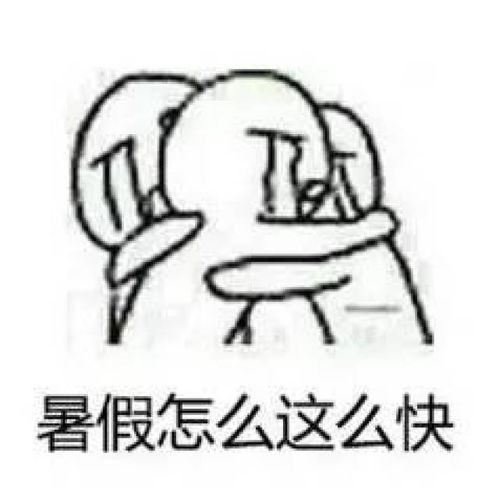  烟台这些区域将新建学校,你家变学区房了吗