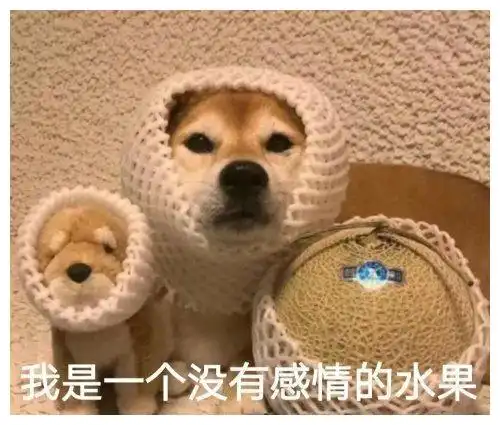 搞笑gif你能不能不要这样逗我啊我害怕我喜欢上你 搞笑gif你能不能不要这样逗我啊我害怕我喜欢上你