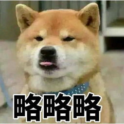  略略略柴犬表情包无水印版