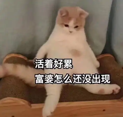  男子收留了一只流浪猫,开始猫咪认生,三个月后大型真香现场