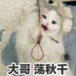  b站大佬弹幕指点江山,4月最强音乐番,被槽日式英语辣耳