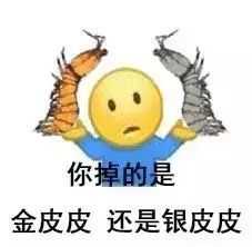  皮皮虾已售空,正在补货中ing