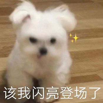  把爱宠绘进美甲这才是花式晒宠物的最高境界