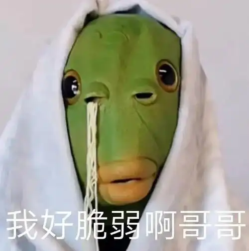 沙雕绿头鱼表情包
