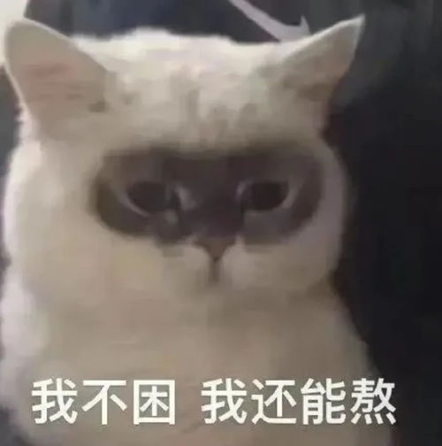  5亿人围观霸总爱上绝经的我,儿媳狂扇18个巴掌,扇成了今年最癫的爽剧