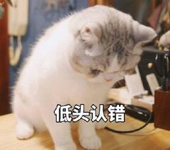  看了让人心软的认错表情包你再不理我,你将失去我这个小可爱
