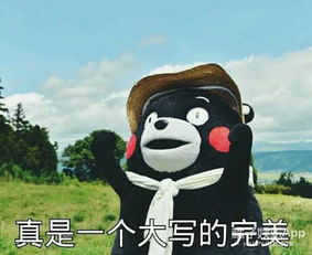  你遇到过的最奇葩的北京老司机贼拉逗胡乱扯,但也被温暖过