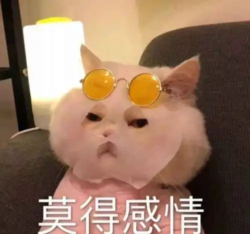  e句话看天下丨没有林峯,谁知道张馨月