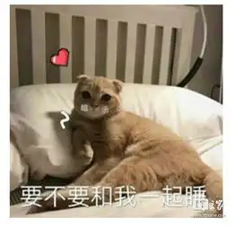  大佬们每人进来发点撩妹的表情包