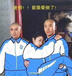  原来他才是真正的还珠表情包之王