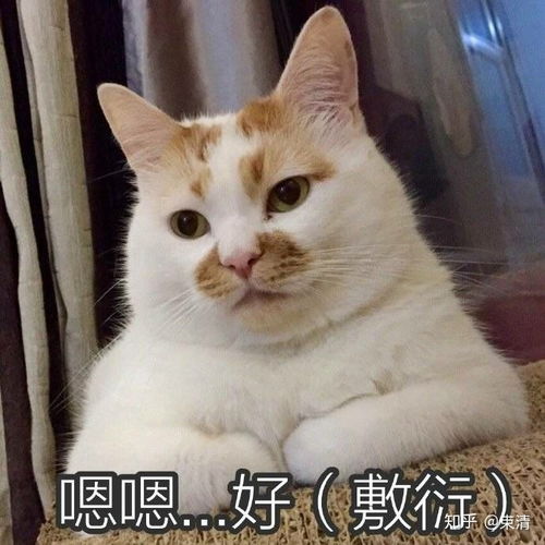  在青岛工学院读书是一种怎样的体验