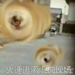  鸡年第一个流行语拿小拳拳捶你胸口,各种版本视频出炉,网友已经玩儿嗨了