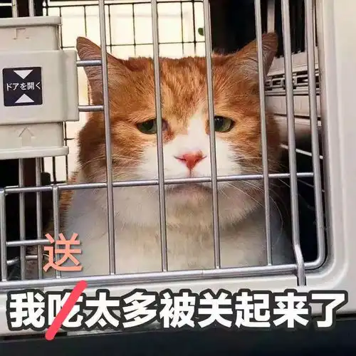  每日一题01.29黑棋需要抓住右边白棋二路上眼形的缺陷