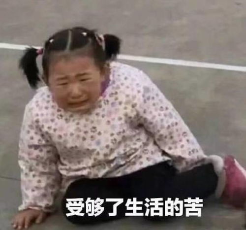  关于委屈的表情包不行,我受不了这委屈