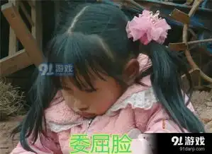  变形计丽姐表情包走红变形计陈新颖妹妹个人资料图片