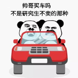  买车吗表情包