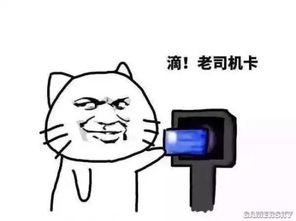 滴群主上班卡表情包表情