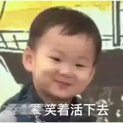  求这个小孩的所有表情包