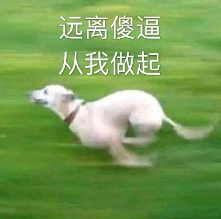  冲鸭杰尼龟表情包杰尼龟冲鸭表情