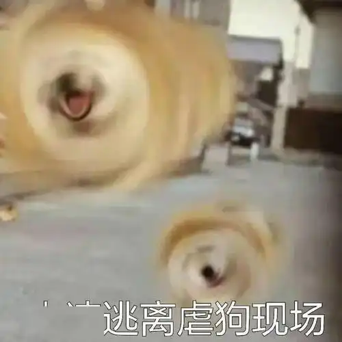  紫微丨你的桃花跑去哪里了