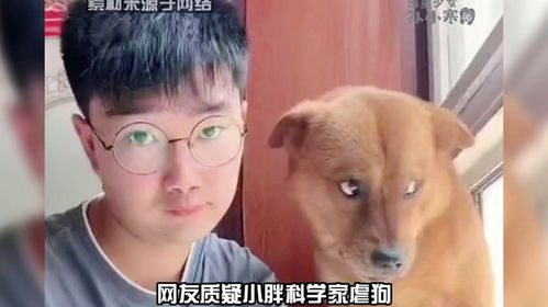  网友质疑小胖科学家虐狗
