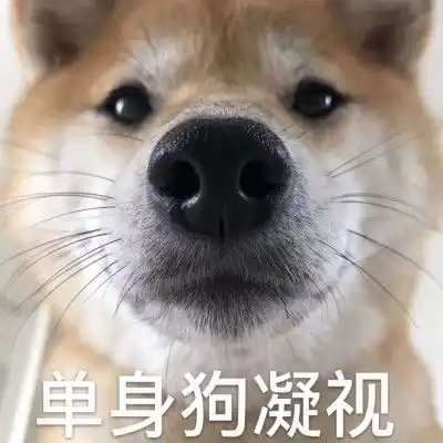  520单身狗专用带字表情包2020抖音单身狗表情包图片大全