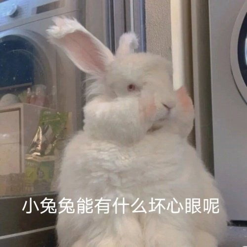  一个单纯的碎碎念预告求问有关its的抽奖