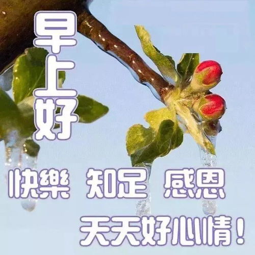  有没有那种中老年表情包的画风配上沙雕文字的的表情包