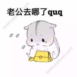  喊老公表情包原图下载喊老公表情包原图app下载喊老公表情包原图手机...