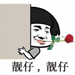 ac娘匿名版表情包刘兄