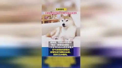  生命垂危狗头表情包原型罹患白血病和胆管炎