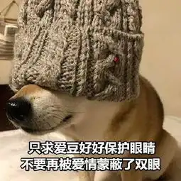  狗狗表情包斗图系列好兄弟好好做狗心如死灰