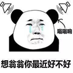  熊猫头表情包i再见我去谈恋爱了