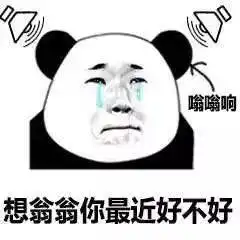  熊猫头表情包i再见我去谈恋爱了