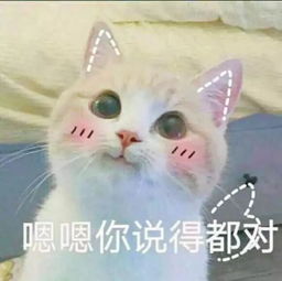  川影文学系话剧之行你好,打劫