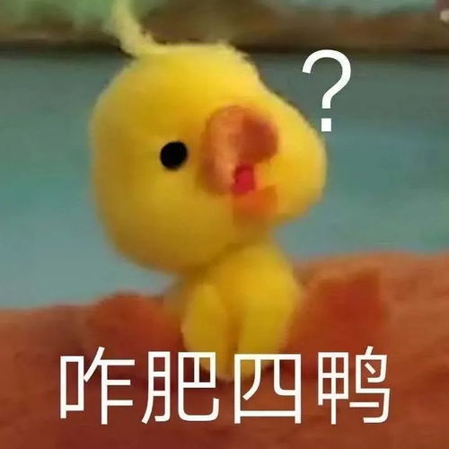 对不起鸭的表情包停办