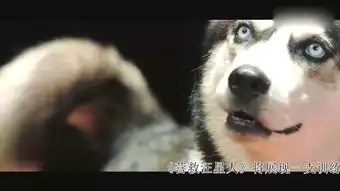  文松首演反派被狗扑咬不留神贡献出怂样表情包
