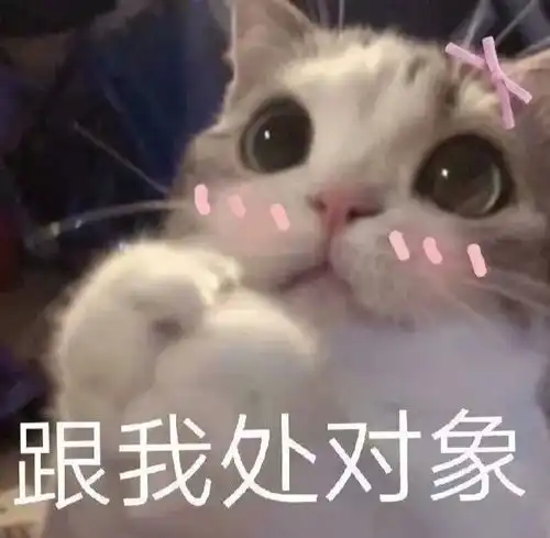  沙雕表情包l跟我处对象