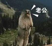 无奈表情包搞笑沙雕土拨