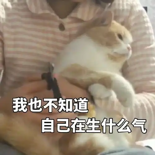  哔哩哔哩专栏