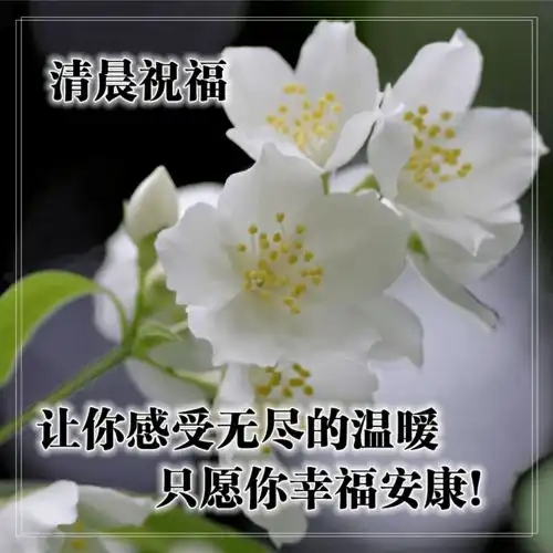  11月5日早上好问候语图片合集,微信群发早晨好祝福语带表情包