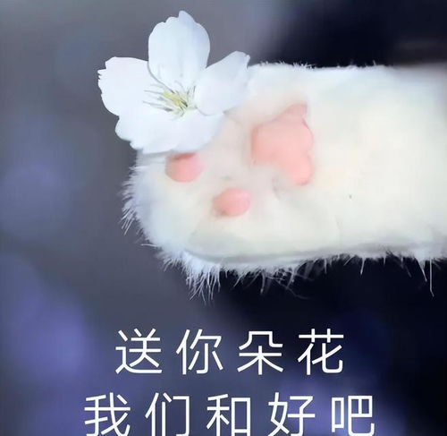送一束鲜花的表情包我要