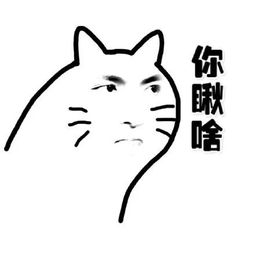  快来抢位知道你们都在等这条公告