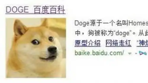  在表情包这场战争中,戏精柴犬完胜二哈